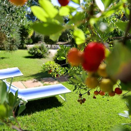 Missipezza Residence A Frassanito Alimini Luaran gambar