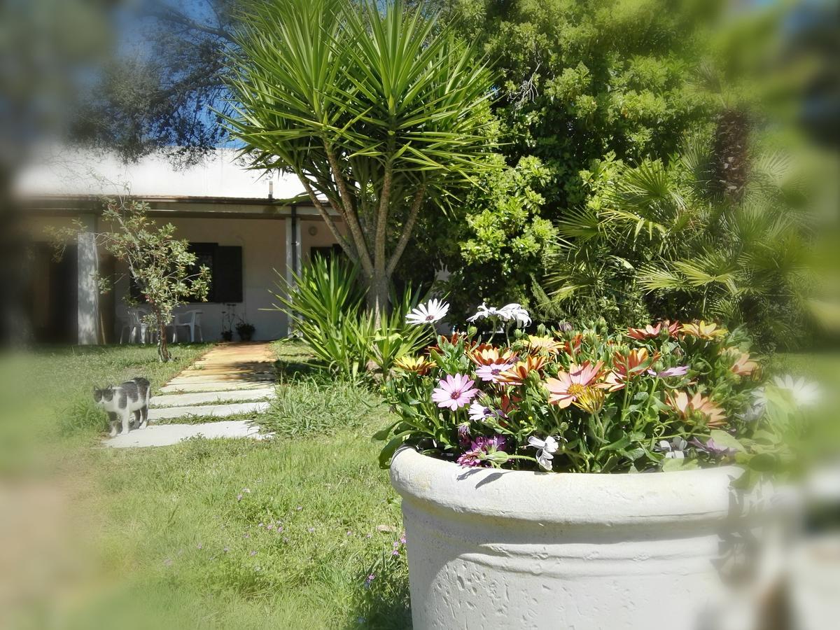 Missipezza Residence A Frassanito Alimini Luaran gambar